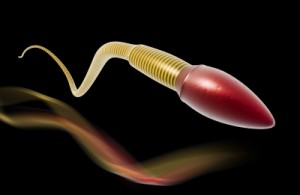4-fecondazione-assistita-spermatozoo