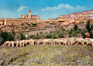 10-Assisi 1961 r
