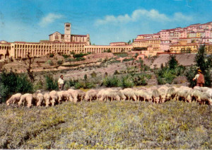 Assisi 1961