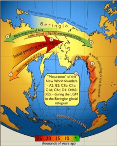 3-4 Bering Asia America popolamento migrazione