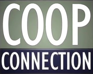 13-coop-connection