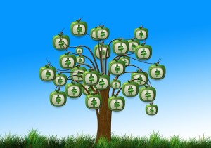 103-4-dollaro-albero-soldi