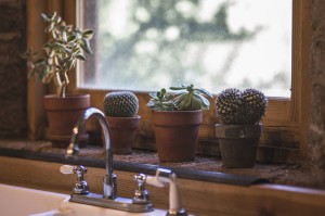 104-1-rubinetto-cactus