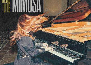 14 preziosi fiori sul pianoforte di Mimosa